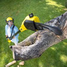 Lawn Watering Services in University Park, TX