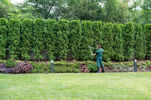 Best Lawn Watering Services  in University Park, TX